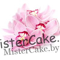 Флористика