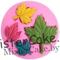 Молды, вайнеры