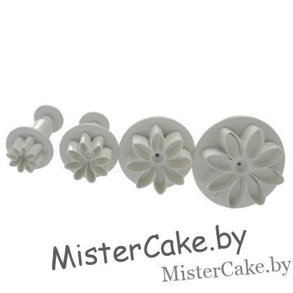 маргаритки