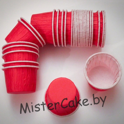 thumb_FZ____50__40___________-1